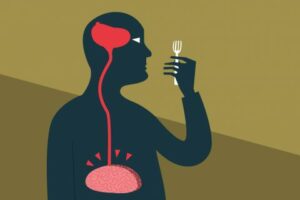 Pourquoi un régime hyperprotéiné coupe-t-il la faim ?