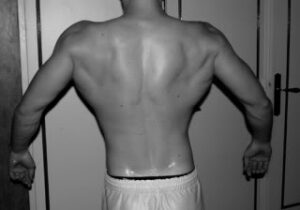 Tractions (3)